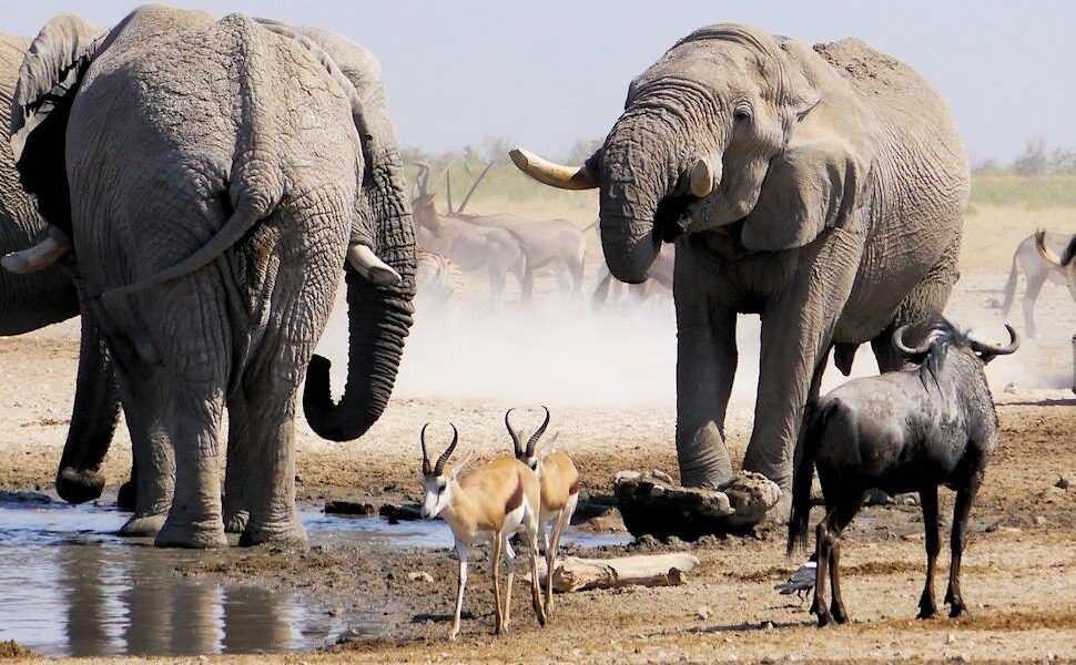 Namibia Destination Overview