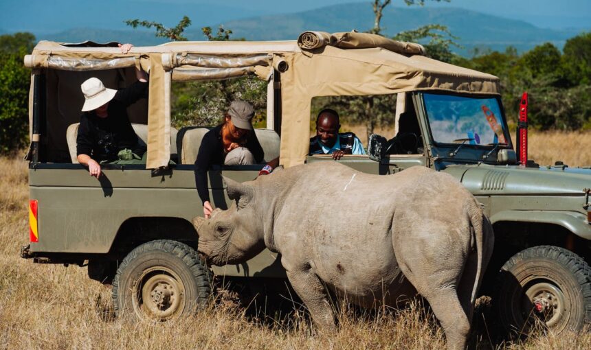 BEST HONEYMOON SAFARI
