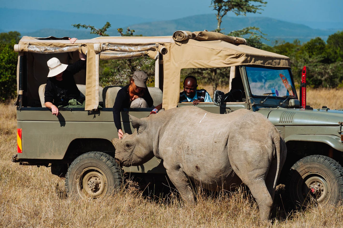 BEST HONEYMOON SAFARI