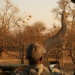 Itinerary Choices and Their Impact on Cost