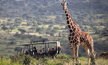 Tanzania vs Kenya Safari: Which is Better for Your Trip?