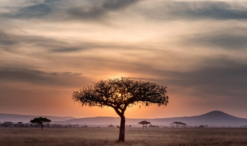 SOUTH AFRICA SAFARI