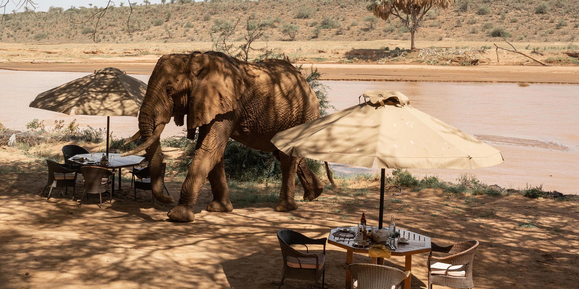 Luxury Honeymoon Safari in Africa 2026 Guide