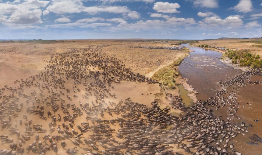 Which Conservancy is Best for Each Month on Kenya Safari?