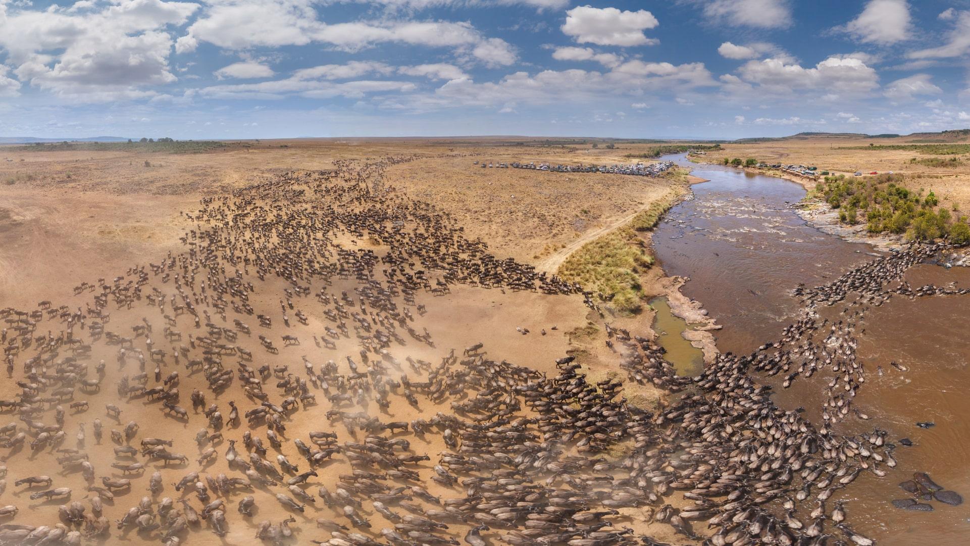 Which Conservancy is Best for Each Month on Kenya Safari?