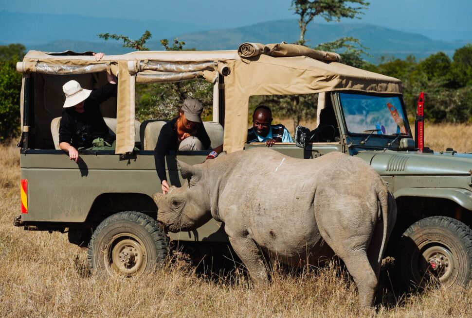 Group Safari vs Private Safari in Tanzania