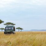 Luxury Kenya Safari (2026) – The Ultimate Guide to Luxury Safari Travel in Kenya