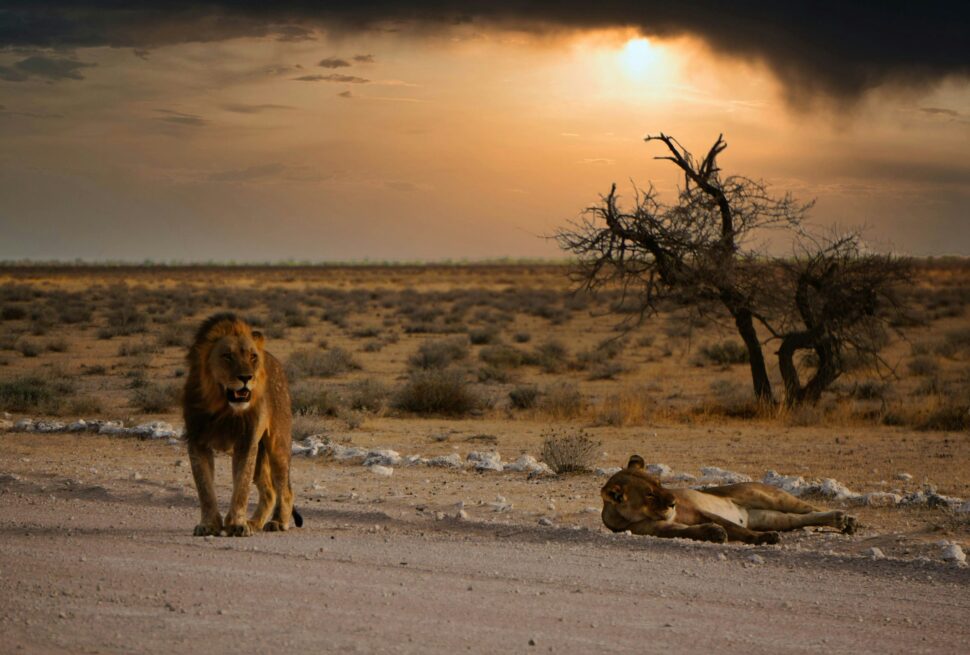 Namibia FAQs