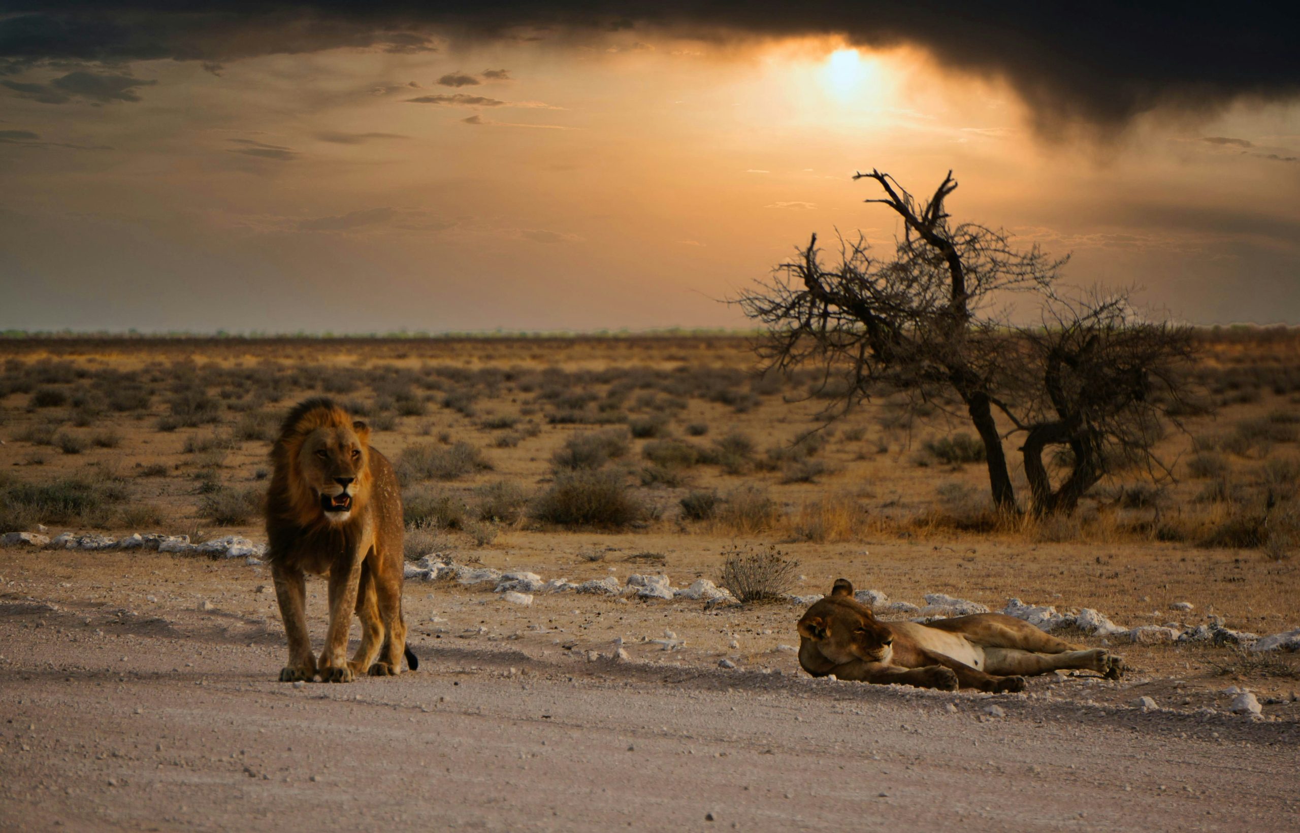 Namibia FAQs