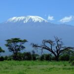 Nature Bound Africa Kilimanjaro