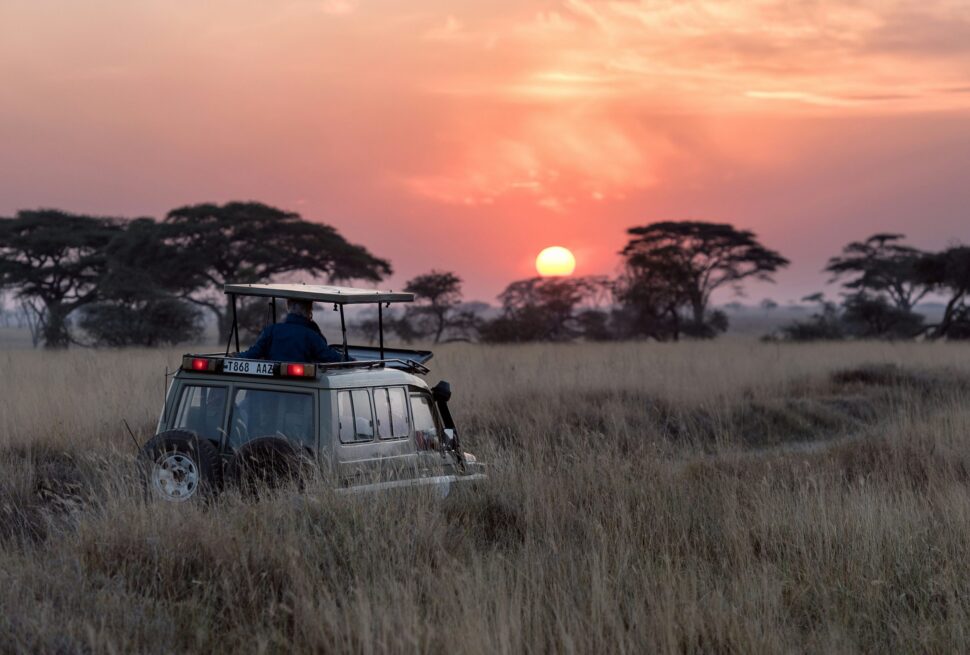 Nature Bound Africa Private Game Drive Tanzania: The Ultimate Personalized Safari Experience