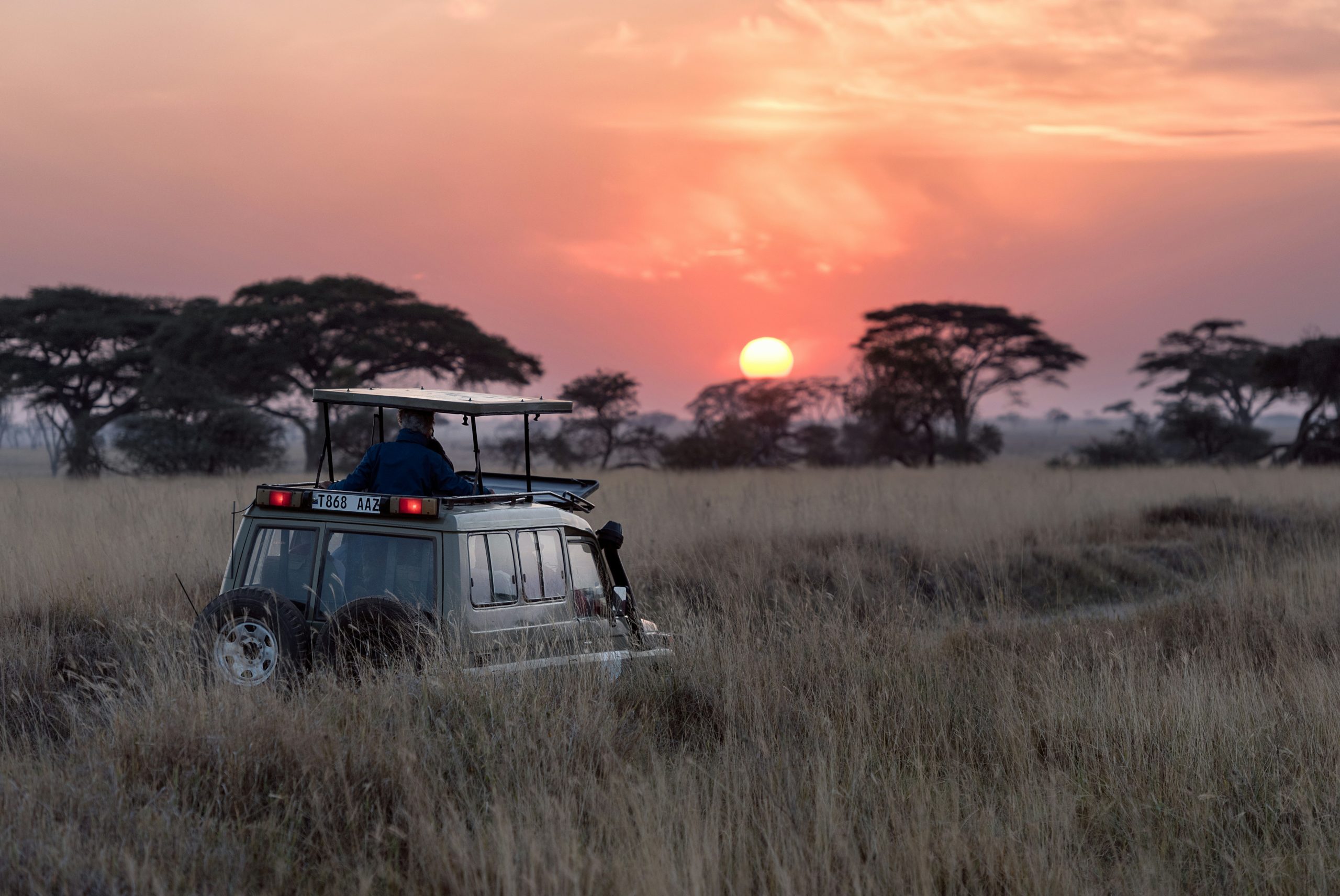 Nature Bound Africa Private Game Drive Tanzania: The Ultimate Personalized Safari Experience