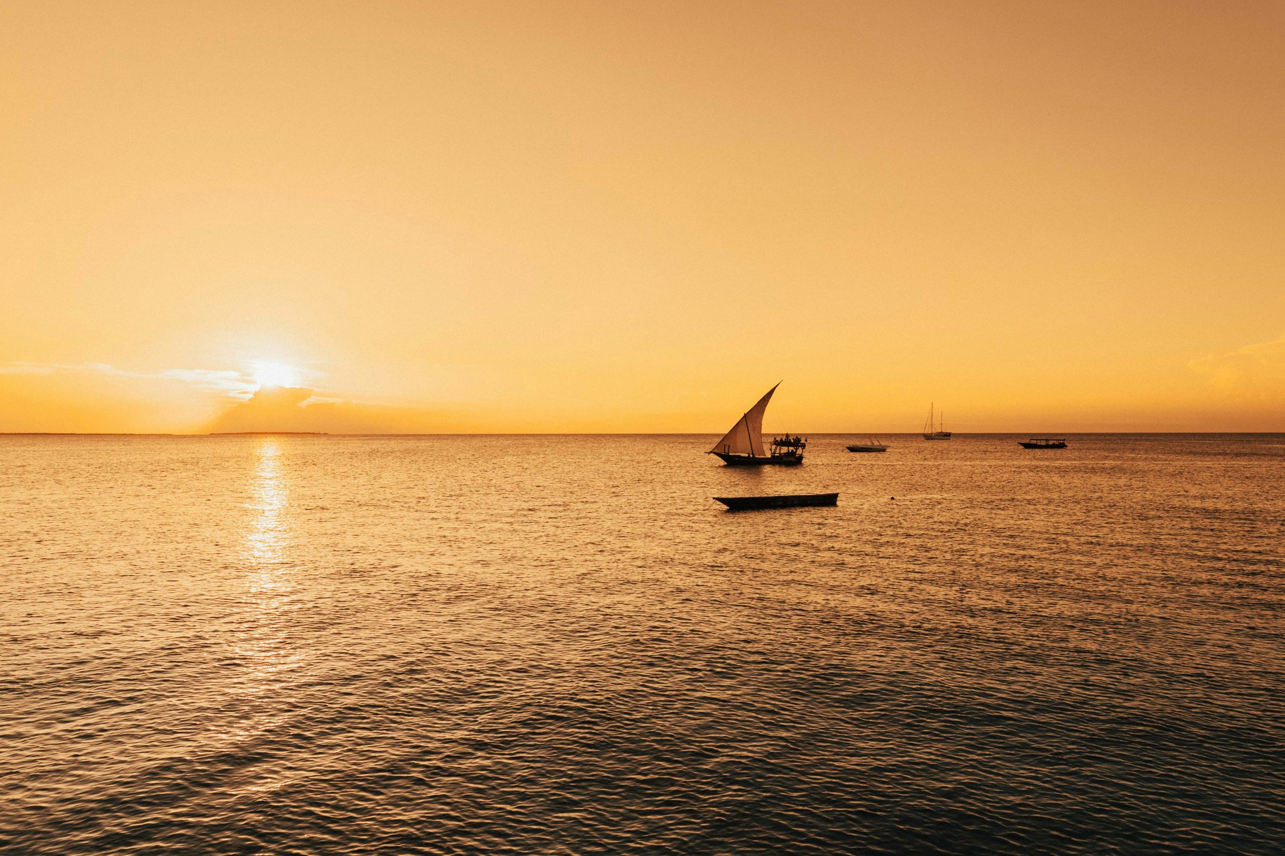 Zanzibar FAQs: 50 Questions Answered by Local Experts