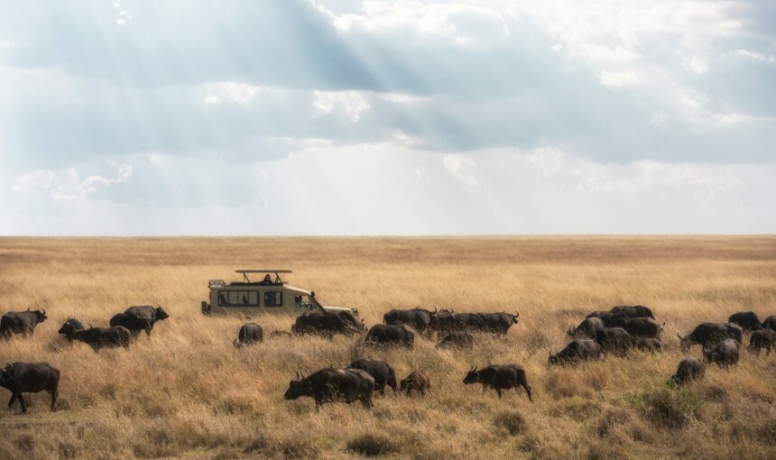 10-Day Kenya Wildlife and Cultural Safari