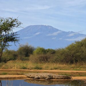 Visit Amboseli Crocodile Park Near Kimana Gate